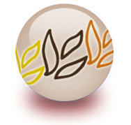 L'immagine mostra il logo di GCA su una sfera trasparente